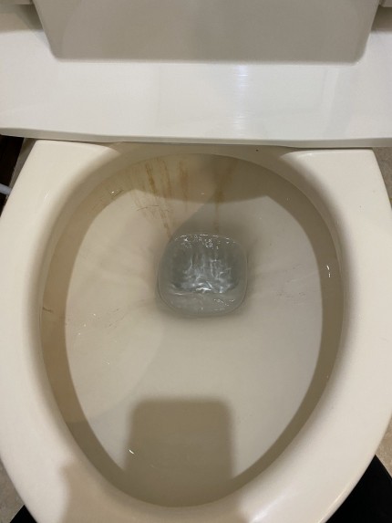 鹿児島市　年末大掃除　トイレ