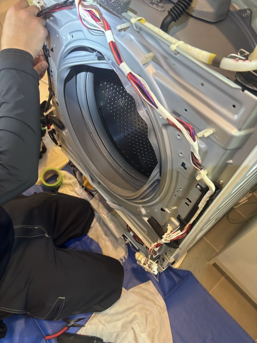 IMG_6727-e1771927353274