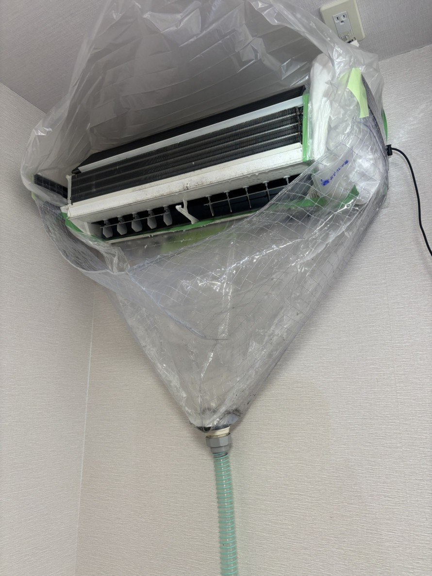 IMG_6834-e1773313719220