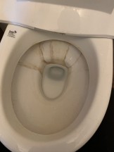 鹿児島市　トイレ　便器　掃除